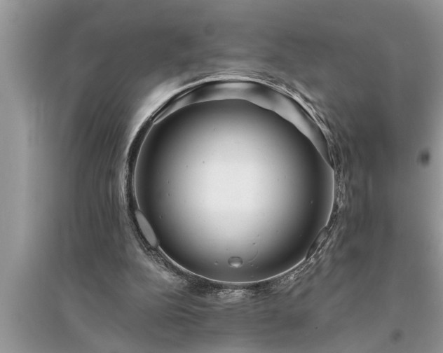 X0000095530152200712211333