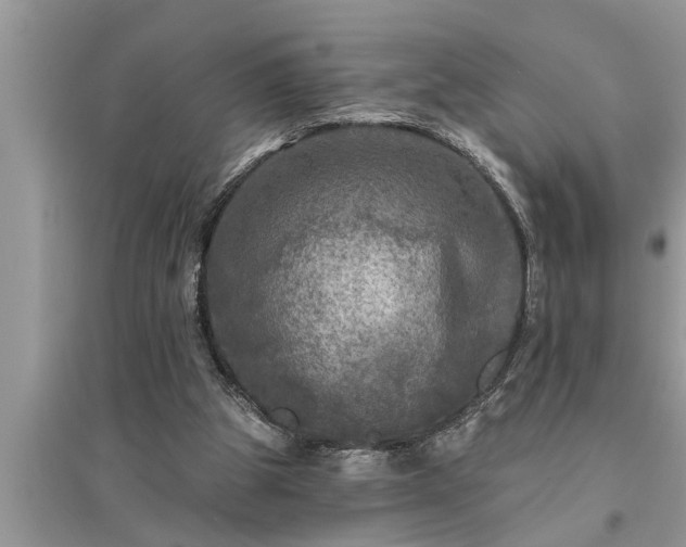 X0000095530153200712211333