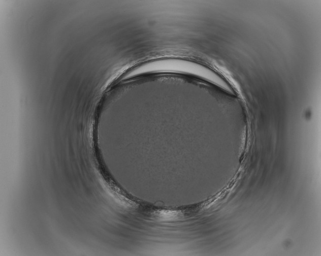 X0000095530154200712211333
