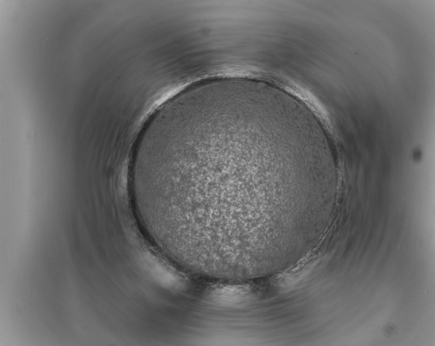 X0000095530155200712211333