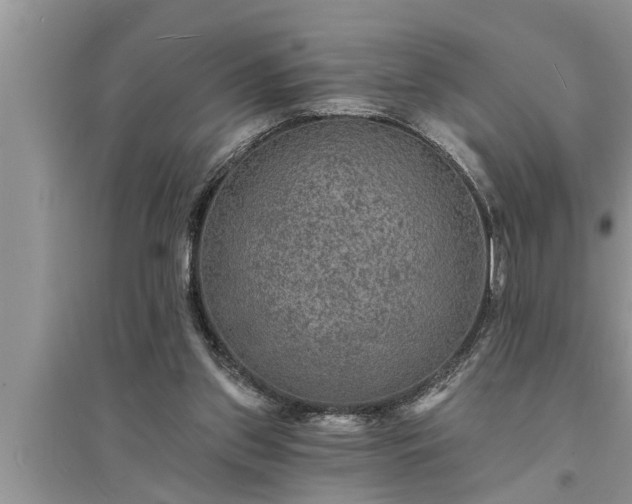X0000095530157200712211333