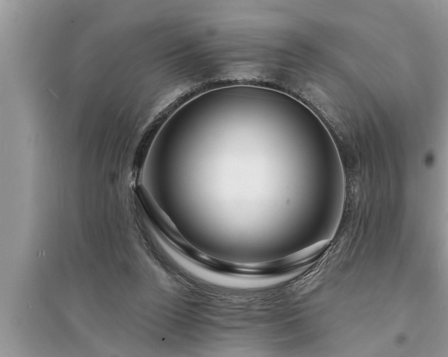 X0000095530160200712211333