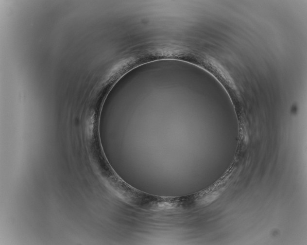 X0000095530163200712211333
