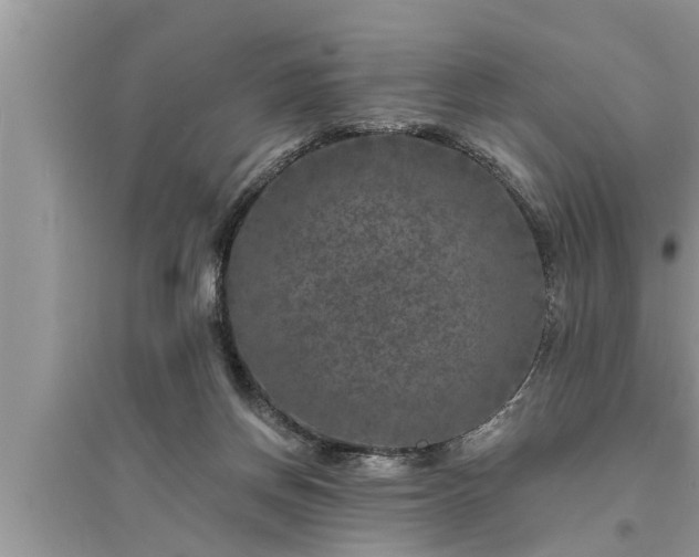 X0000095530166200712211333