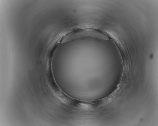 X0000095530167200712211333