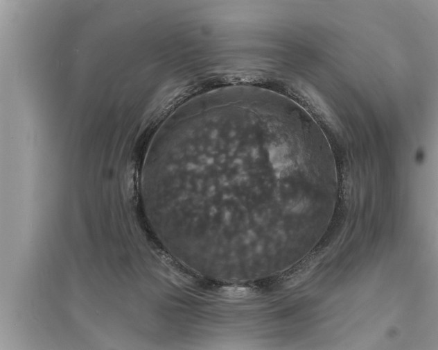 X0000095530169200712211333