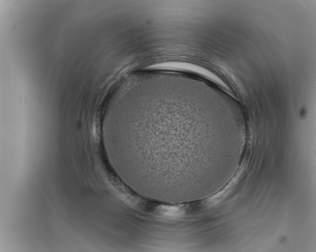 X0000095530170200712211333