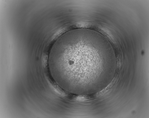 X0000095530171200712211333