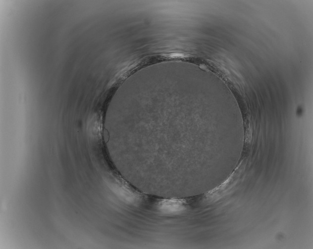 X0000095530179200712211334