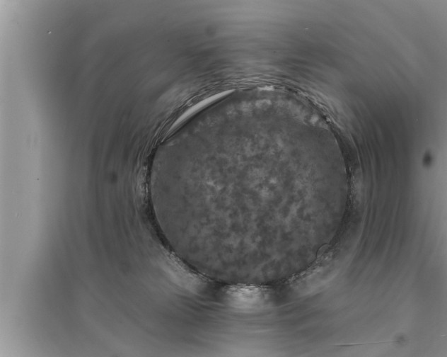 X0000095530181200712211334