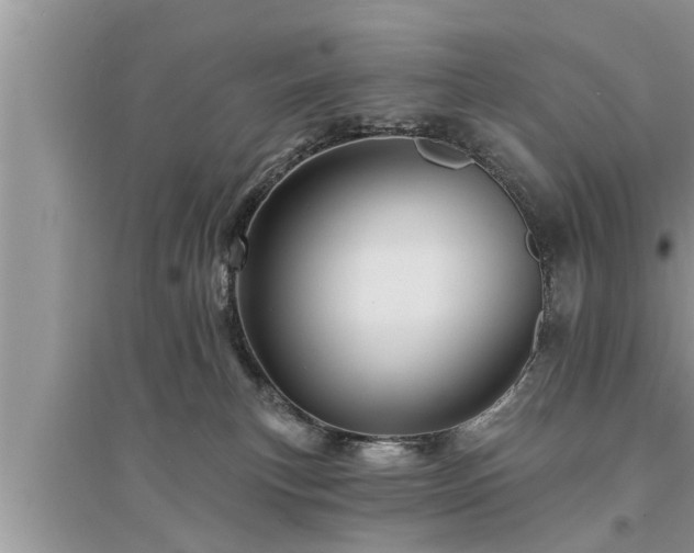 X0000095530183200712211334