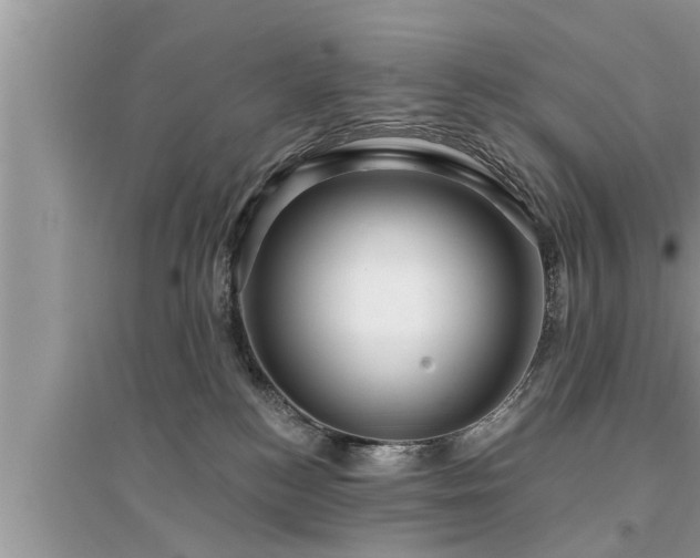 X0000095530184200712211334