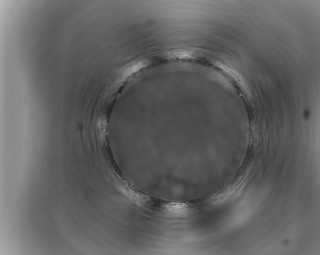X0000095530189200712211334
