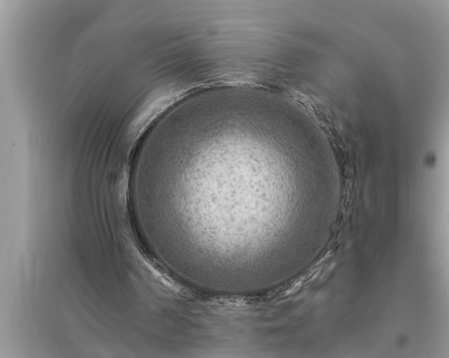 X0000095530194200712211333