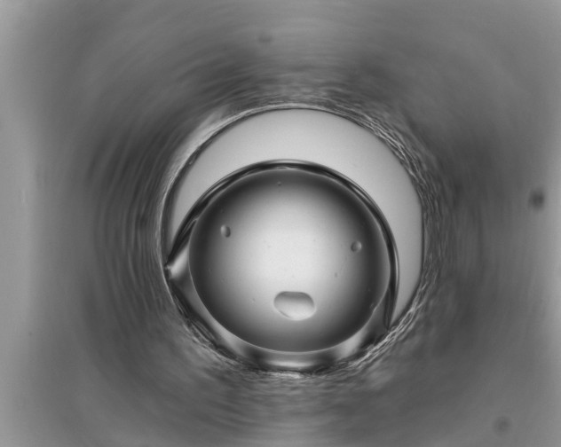 X0000095530195200712211333