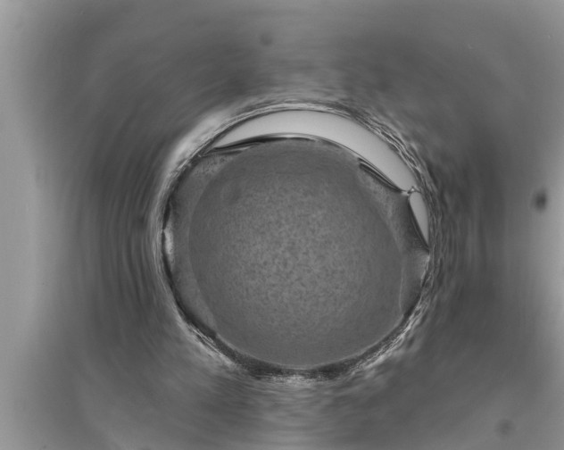 X0000095530197200712211333