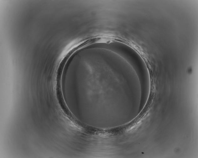 X0000095530199200712211333