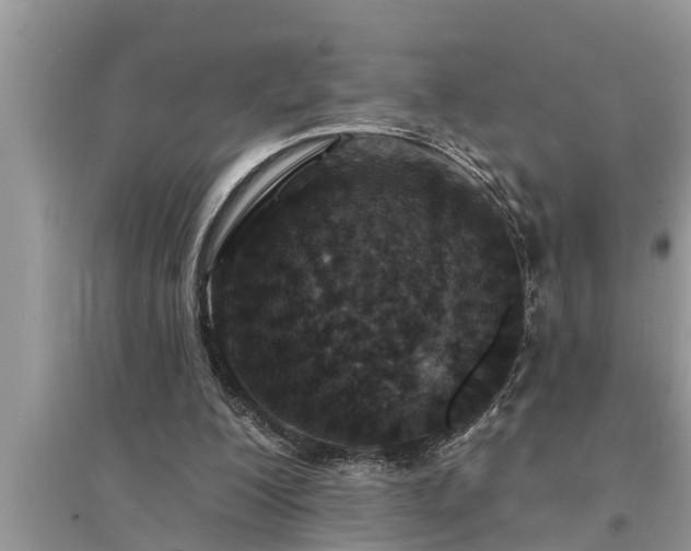 X0000095530200200712211333
