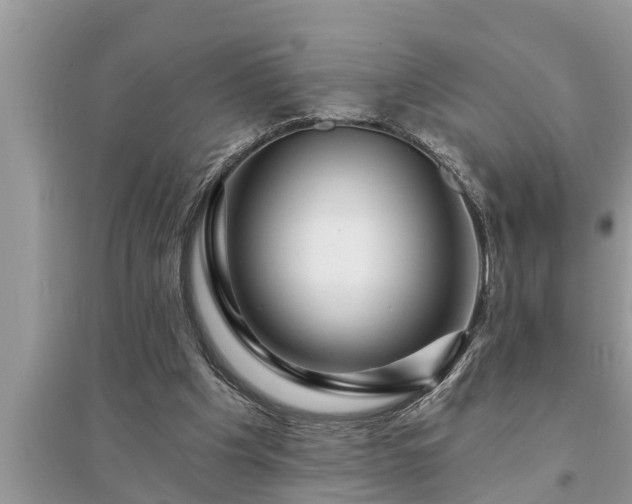 X0000095530201200712211333