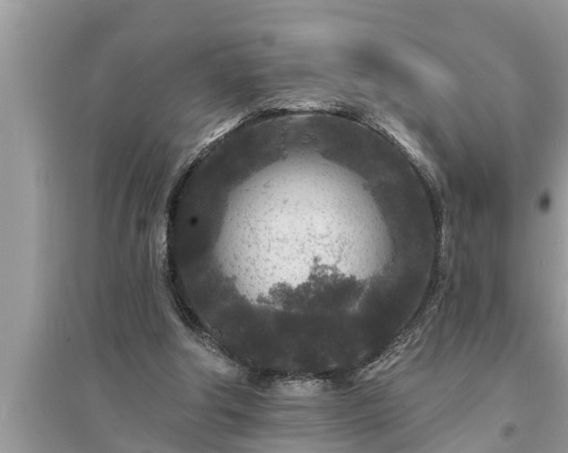 X0000095530202200712211333