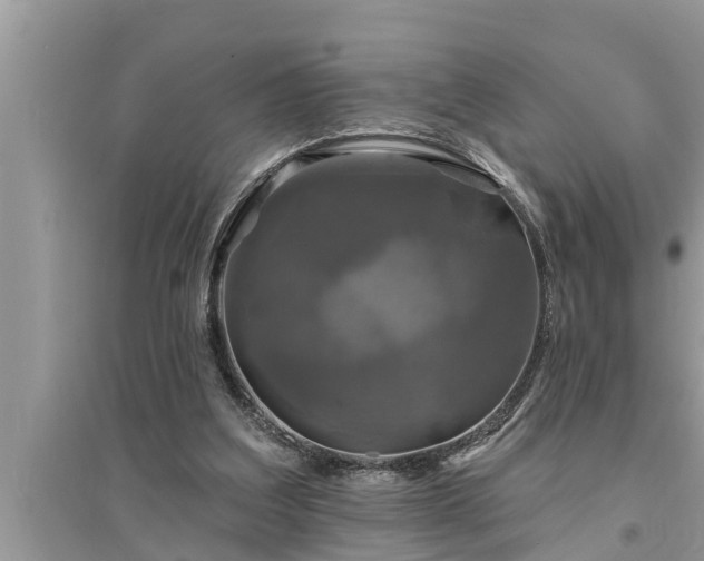 X0000095530203200712211333