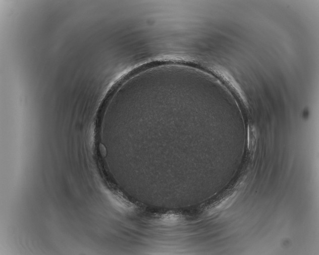 X0000095530204200712211333