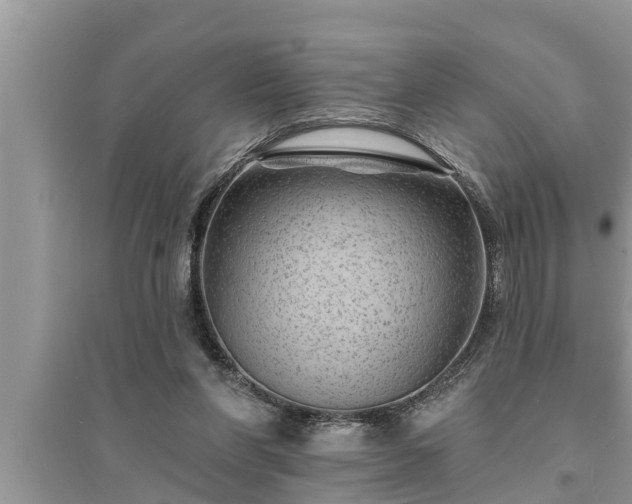 X0000095530206200712211333