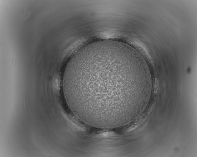 X0000095530210200712211333