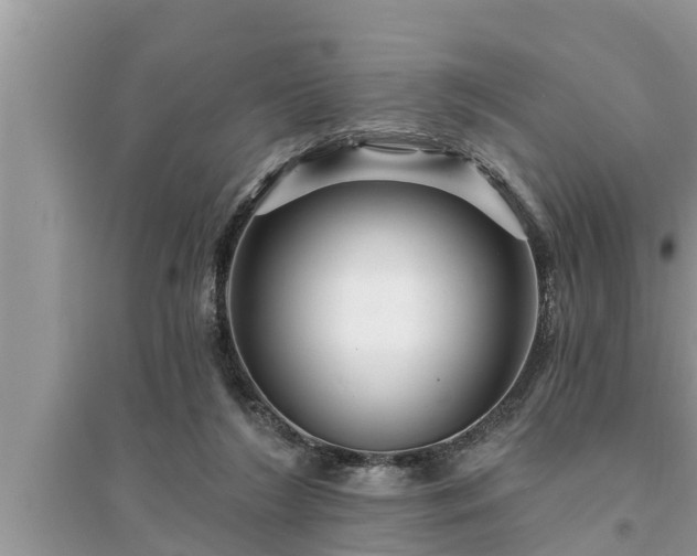 X0000095530212200712211333