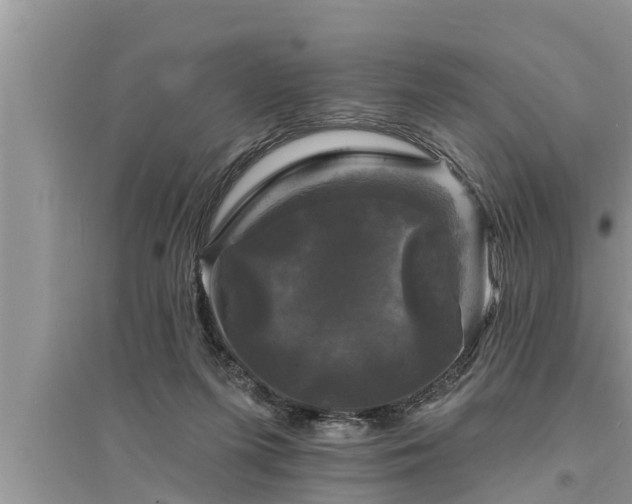 X0000095530215200712211333