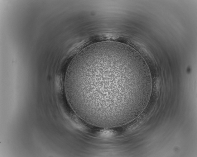 X0000095530218200712211333