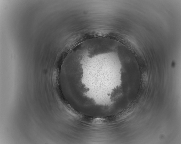 X0000095530222200712211333