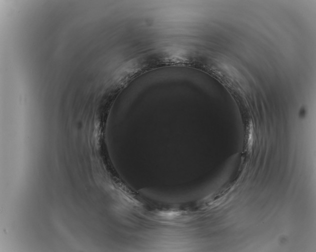 X0000095530223200712211333