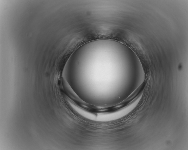 X0000095530225200712211333