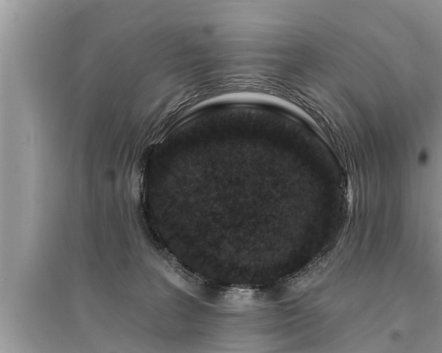 X0000095530227200712211333