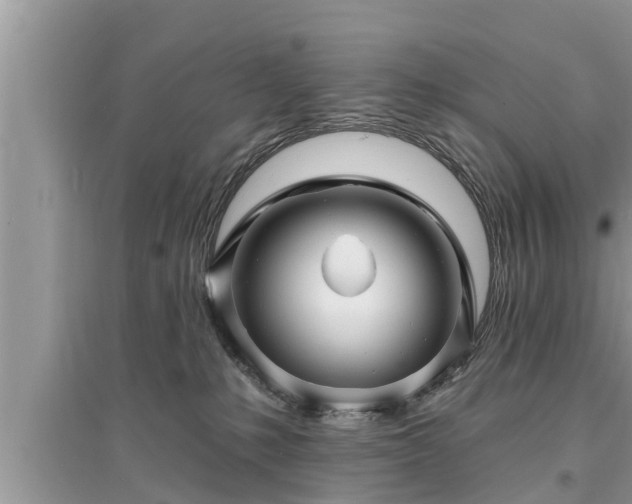 X0000095530231200712211333