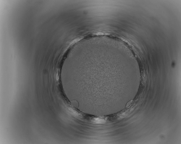 X0000095530232200712211333