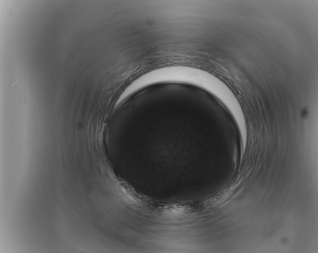 X0000095530235200712211332