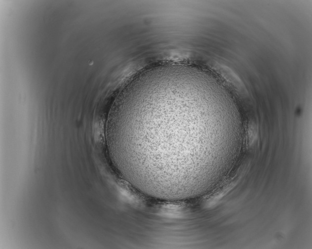 X0000095530236200712211332