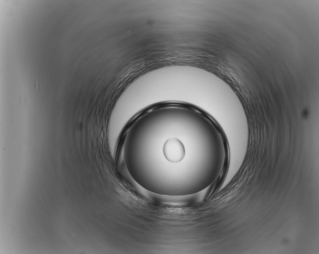 X0000095530237200712211332