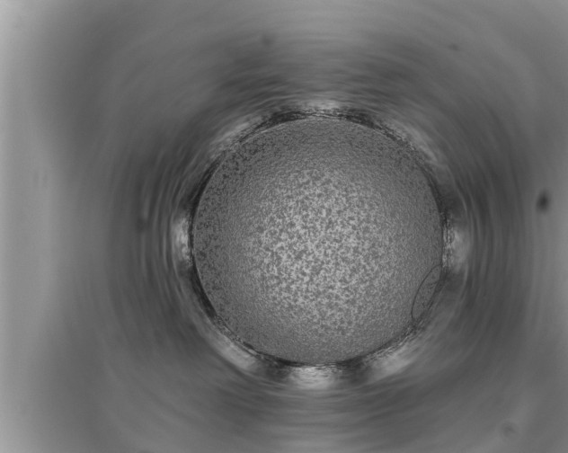 X0000095530238200712211332