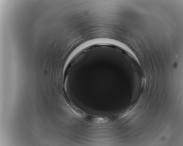 X0000095530239200712211332