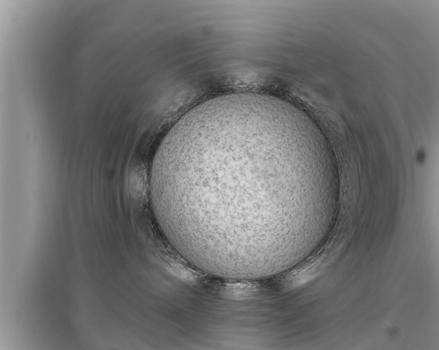 X0000095530240200712211332
