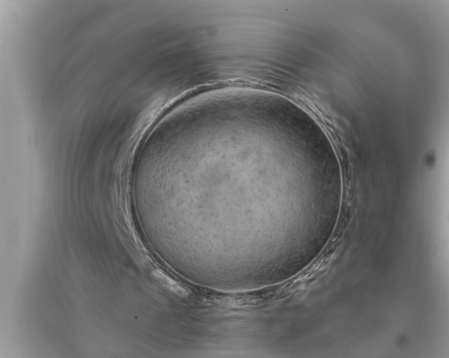 X0000095530241200712211332
