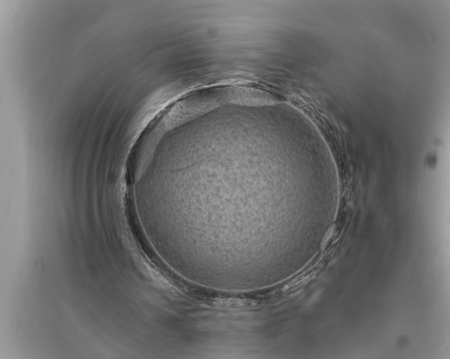 X0000095530242200712211332