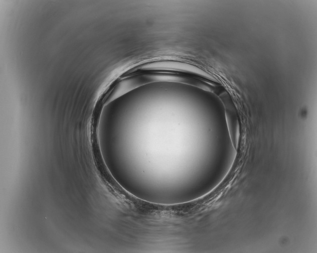 X0000095530244200712211332