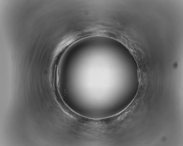 X0000095530245200712211332