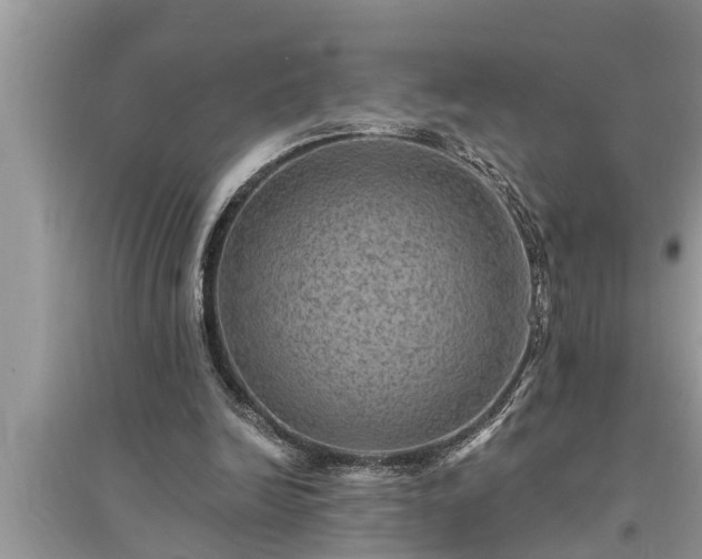 X0000095530246200712211332