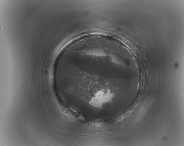 X0000095530247200712211332