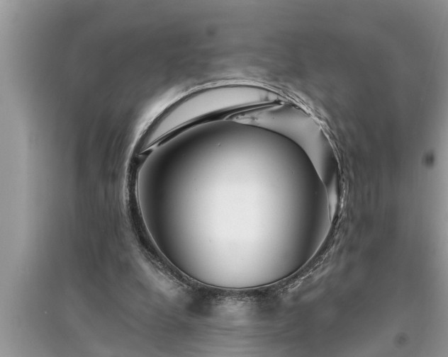 X0000095530248200712211332